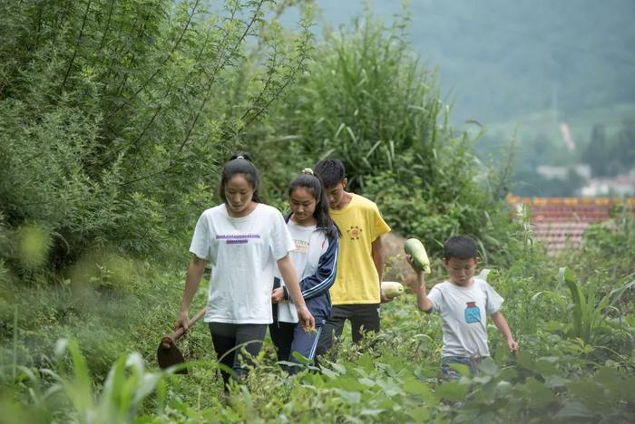 “最悲伤作文”后续：越来越多大凉山孩子的命运正在改变