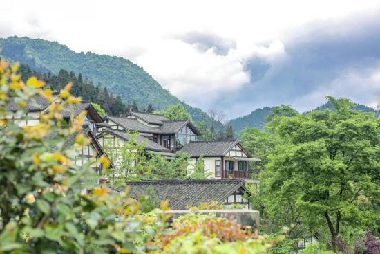 金杯半山斩获2020房地产品牌大会三重大奖