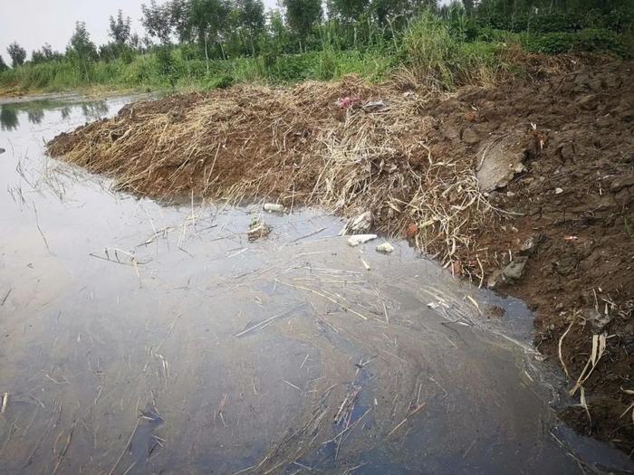广饶一灌溉水渠发黑发臭！村民质疑是污水处理厂直排未处理污水！官方回应！