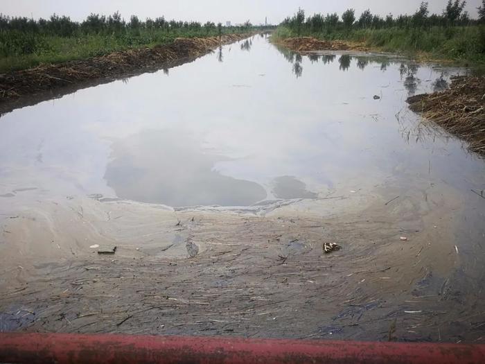 广饶一灌溉水渠发黑发臭！村民质疑是污水处理厂直排未处理污水！官方回应！