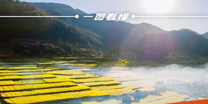农村居民人均_农村居民人均收入(2)