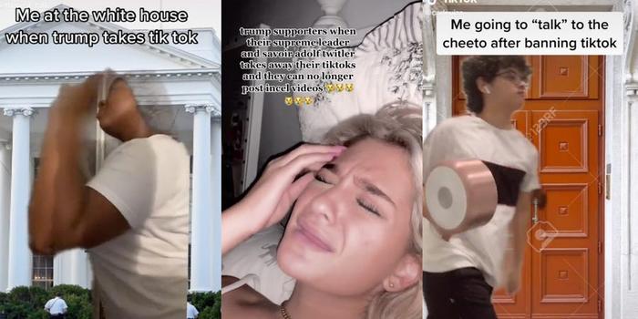 特朗普宣布封禁TikTok后,美国网民的反应。