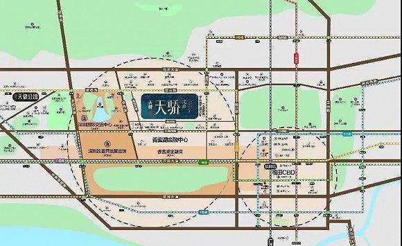 图片来源:网络