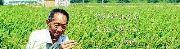 图源:隆平高科官网