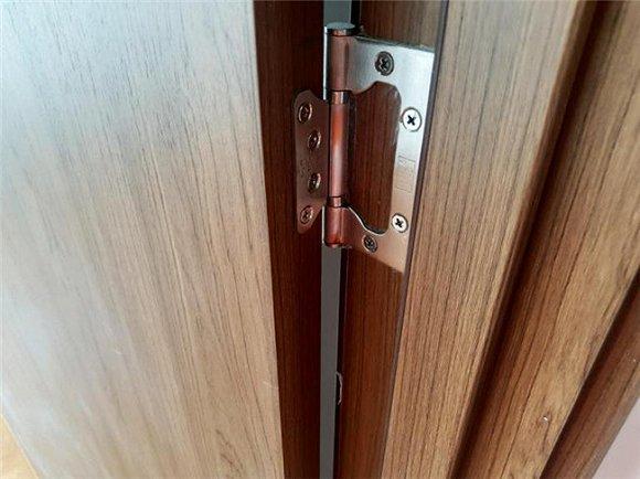 入户防火门拍图