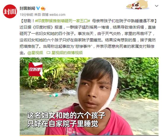 新闻报道