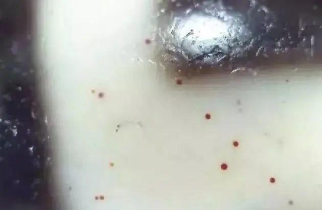 浅谈天珠上的朱砂点
