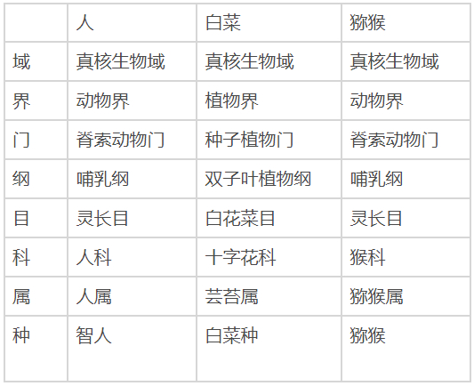 600元快餐暗藏仙人跳？3招避坑省80%风险成本