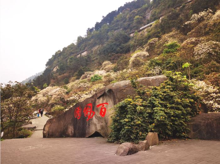 图:荣昌微发布