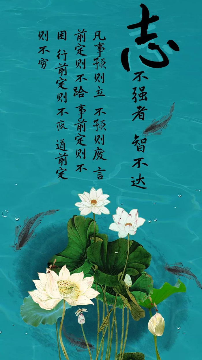 能支撑你走很远的励志正能量句子,句句获赞!|坦途|拼爹|荆棘|投影|弯路_新浪新闻