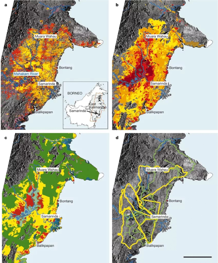 联合国报告：地球“各项指标”已创纪录！明年会进入冰...