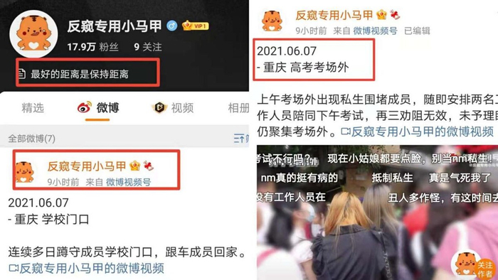 外娇里嫩：私生对决！这本高干文太上头