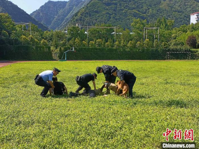 西安警方举办刑事科学技术技能竞赛 警犬技术比拼“十八般武艺”