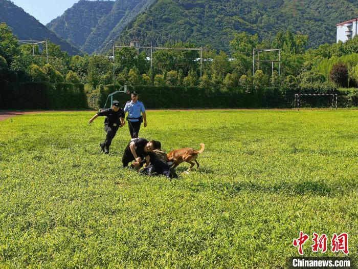 西安警方举办刑事科学技术技能竞赛 警犬技术比拼“十八般武艺”