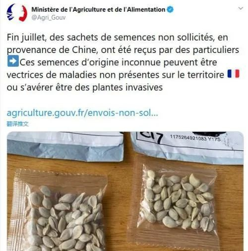 国外购买种子违法吗怎么处理