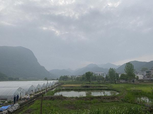 分宜县霞贡村。澎湃新闻记者任雾实习生汪航图