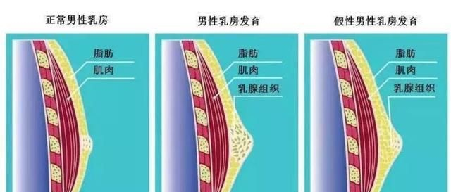 上海派杰珂实业 待遇怎么样