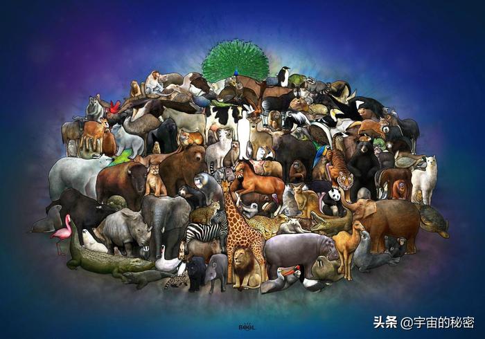 世界上存在的生物_世界上的生物种类_世间上有多少种生物