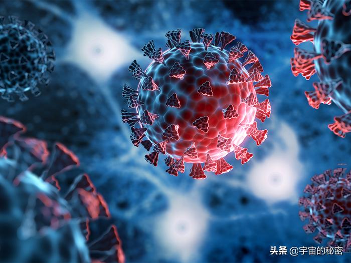 世间上有多少种生物_世界上的生物种类_世界上存在的生物