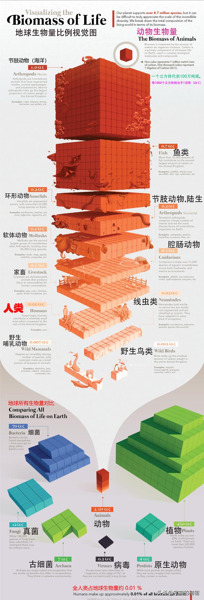 世界上存在的生物_世界上的生物种类_世间上有多少种生物
