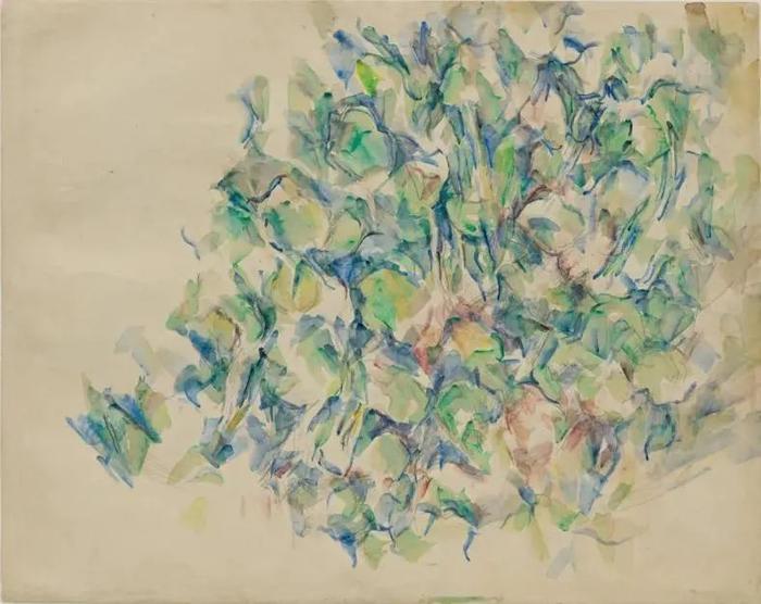 保罗·塞尚,《植物》,1990-04;纸上水彩和铅笔