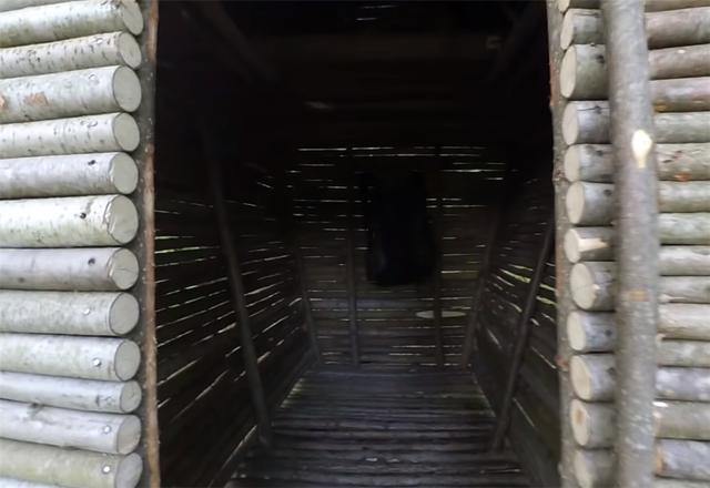 一男子用简单工具,在深山老林盖起3㎡木屋,网友:太牛了