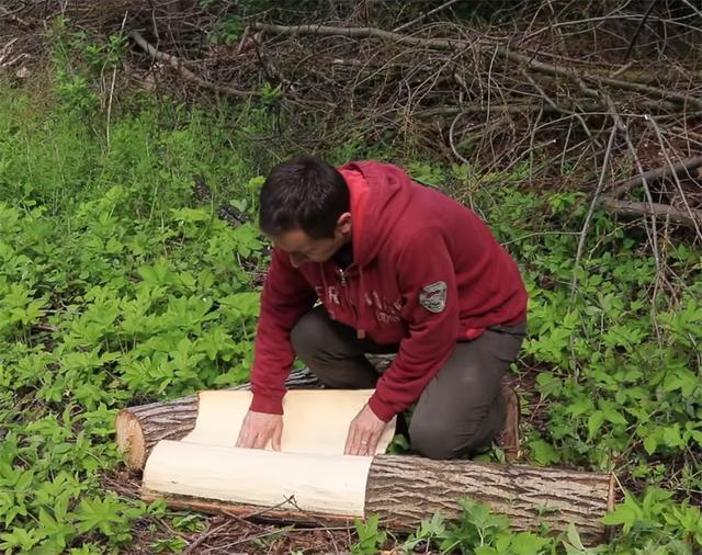 一男子用简单工具,在深山老林盖起3㎡木屋,网友:太牛了