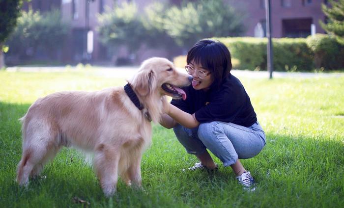 关于教育的脱口秀段子