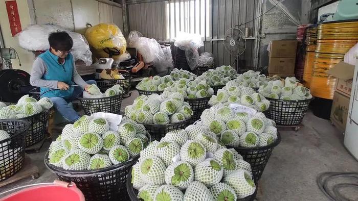 图源:中时新闻网