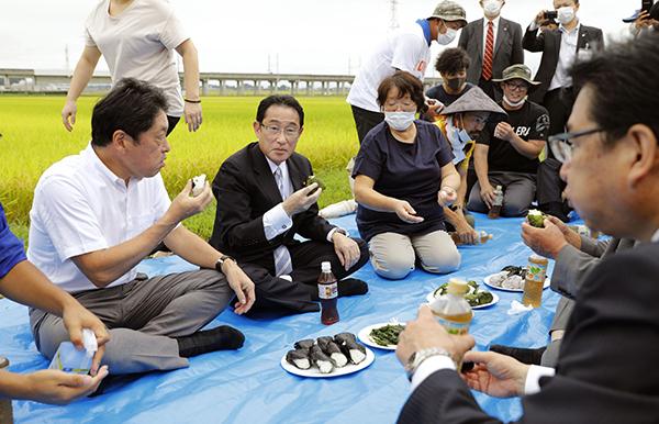 当地时间2020年9月10日,日本宫城县栗原,岸田文雄视察稻田并品尝饭团。