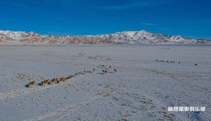 国内四大无人区都有哪些 w700d1q75cms.jpg