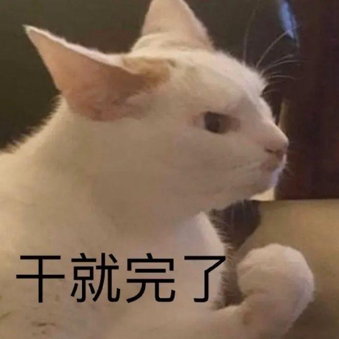 部分图片来源于网络