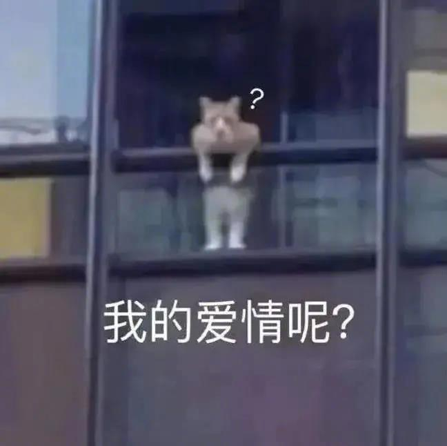 当你老了,一生最后悔什么?...