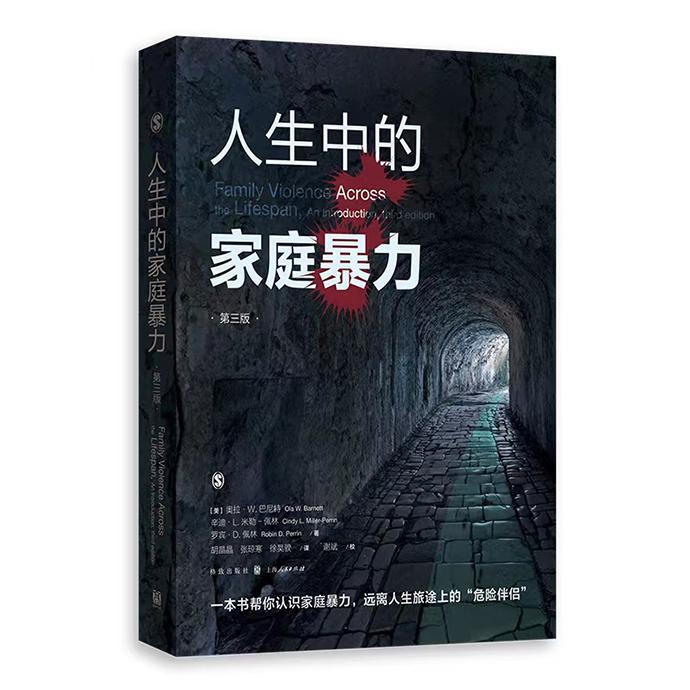 《人生中的家庭暴力(第三版)》
