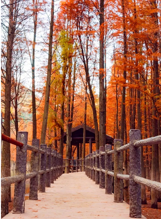 @兰豹、叩叩kokopeli/摄