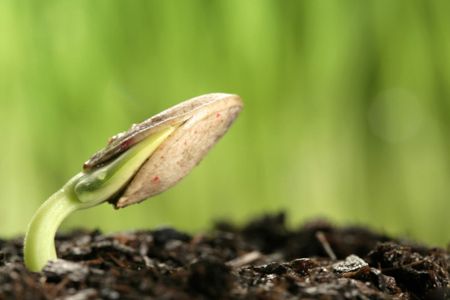 北极出现全新物种,科学家:它们已经为北极末日准备好...