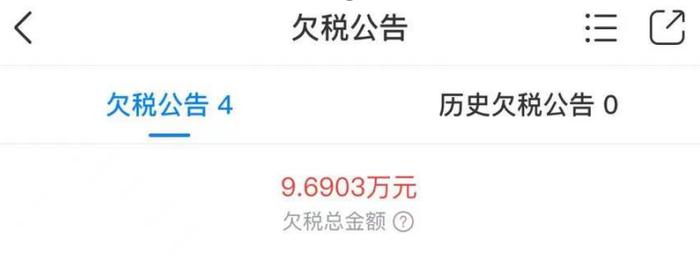 鄂尔多斯市以利亿利利源电石有限公司欠税公告 图片来源:天眼查
