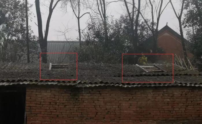 12月14日,郭蕊香家的猪圈棚顶,两片瓦(红圈处)被人买走。新京报记者李冰洁 摄