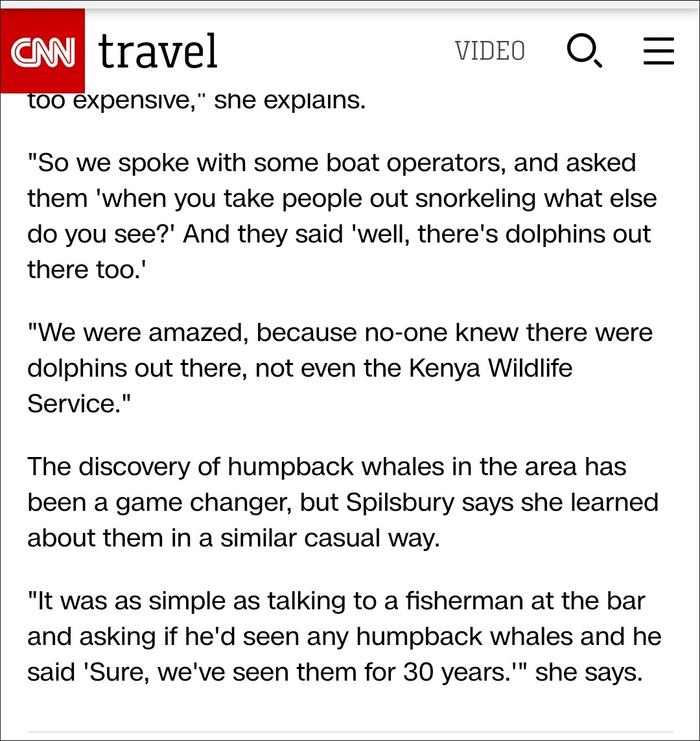 CNN报道截图
