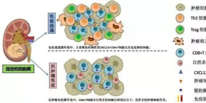 w700h350z1l10t1061f.jpg