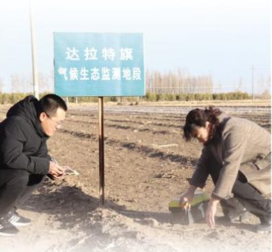 内蒙古达拉特旗气象局技术人员近日在树林召镇大城西村检查土壤墒情。记者 翟钦奇摄