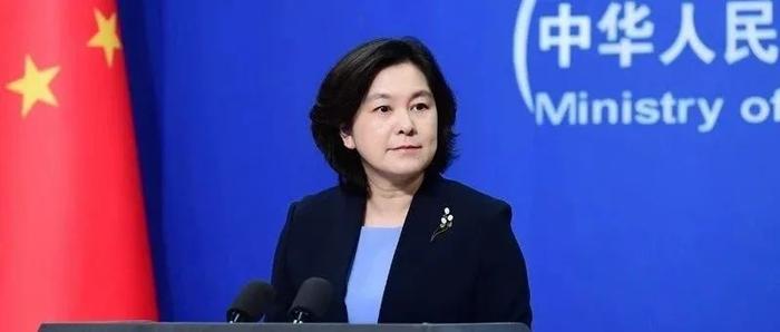 华春莹 图源:外交部网站