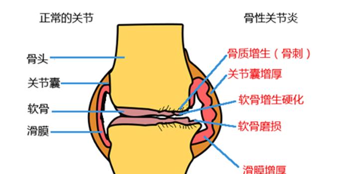 膝组什么成语_成语故事图片(3)