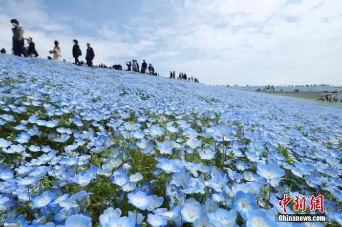 图片来源:ICphoto