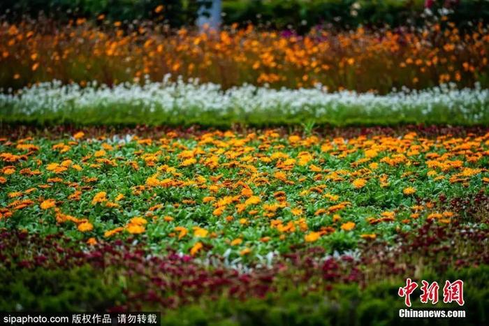 图片来源:Sipaphoto
