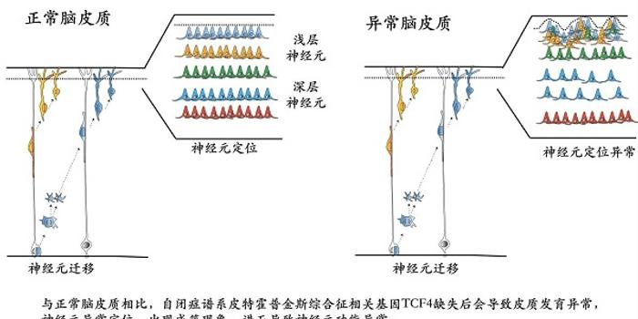 为什么要提供科学原理_科学手抄报(3)