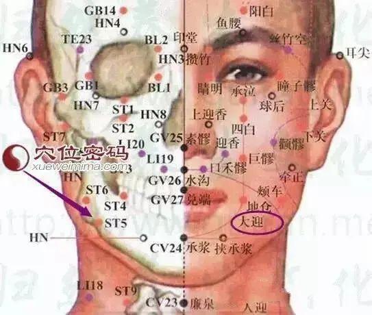 360个穴位定位速记歌诀(经典好文)(图1)