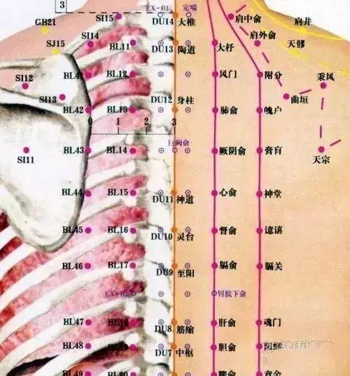 360个穴位定位速记歌诀(经典好文)(图7)