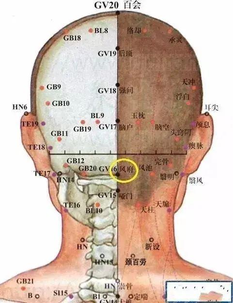 360个穴位定位速记歌诀(经典好文)(图2)