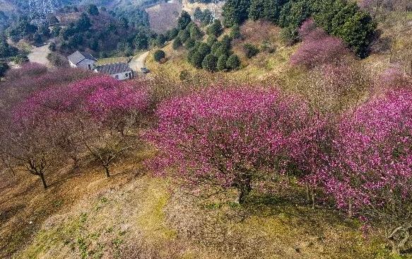 丽水多地上榜！浙江公布一批省级森林休闲养生城市、森林康养名镇和森林人家名单